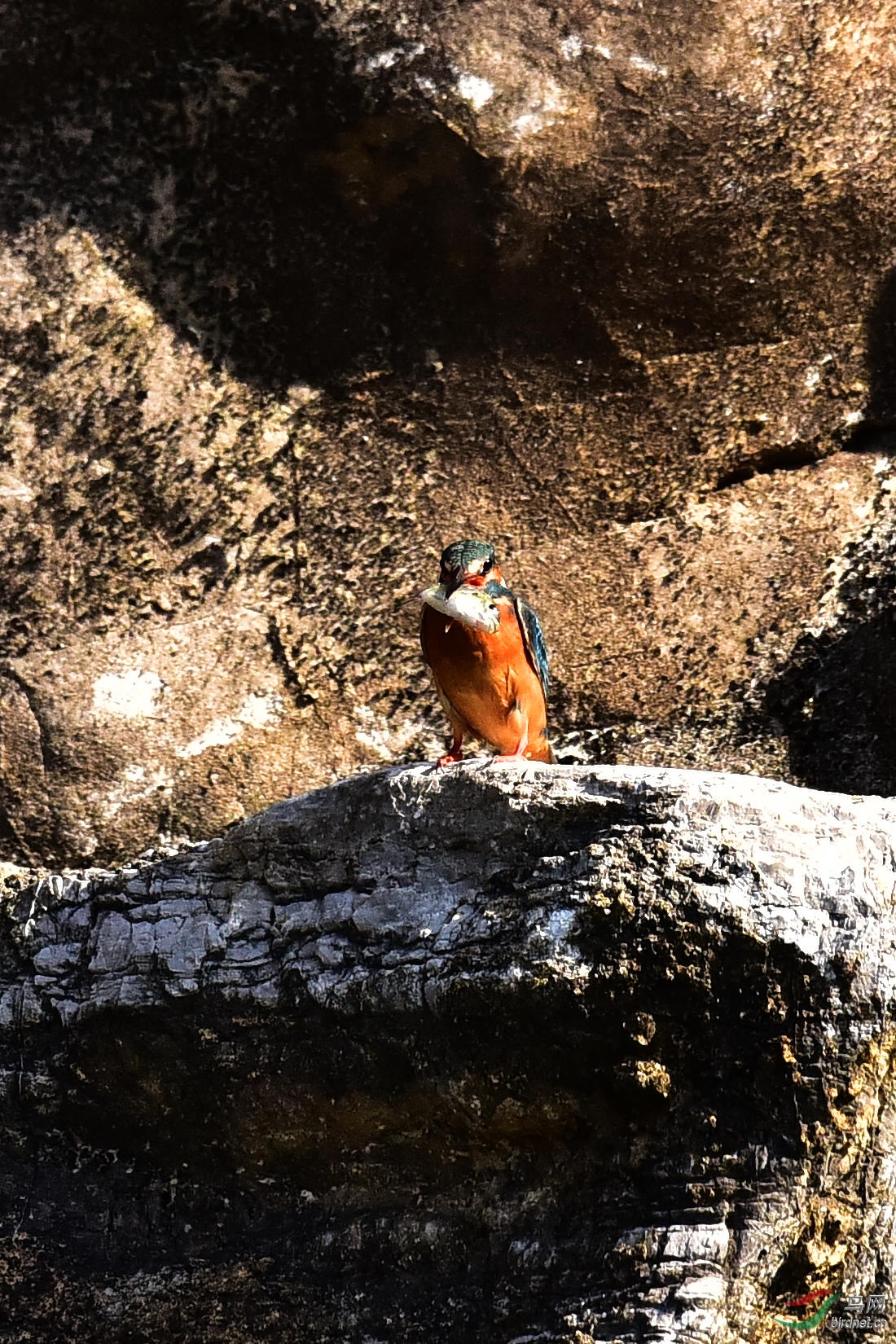 DSC_1107.JPG