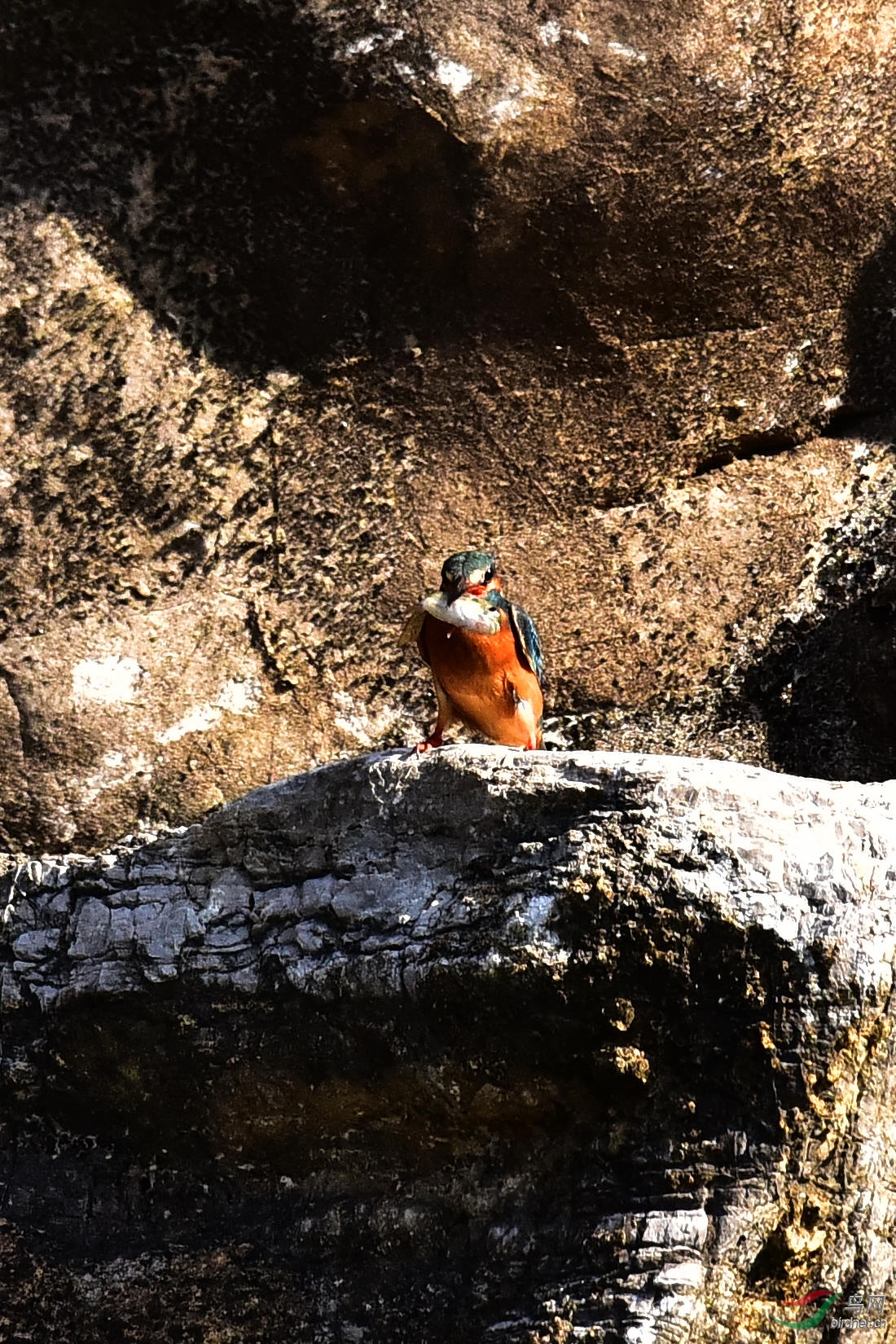 DSC_1108.JPG