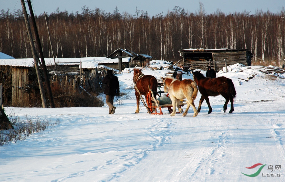 DSC_0399.jpg