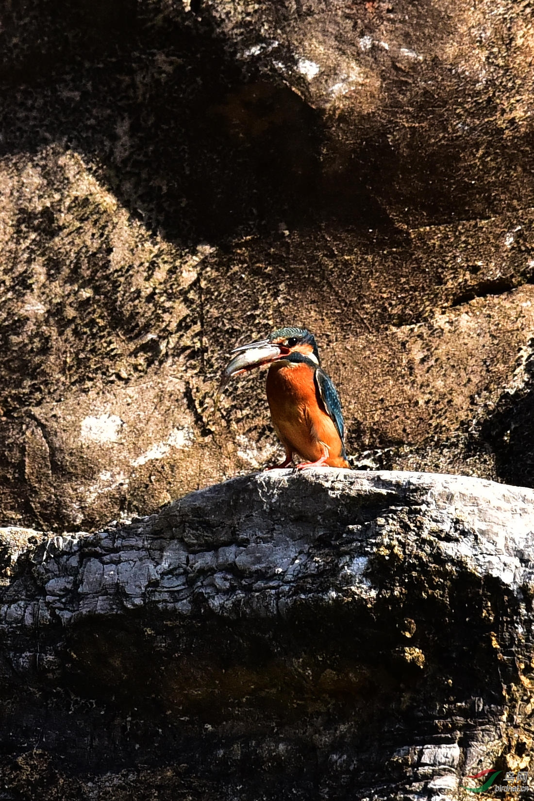 DSC_1112.JPG