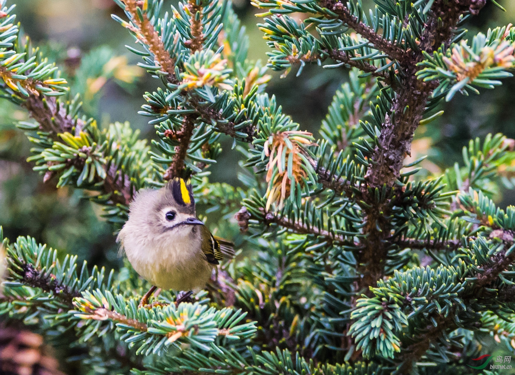 DSC_8340.jpg