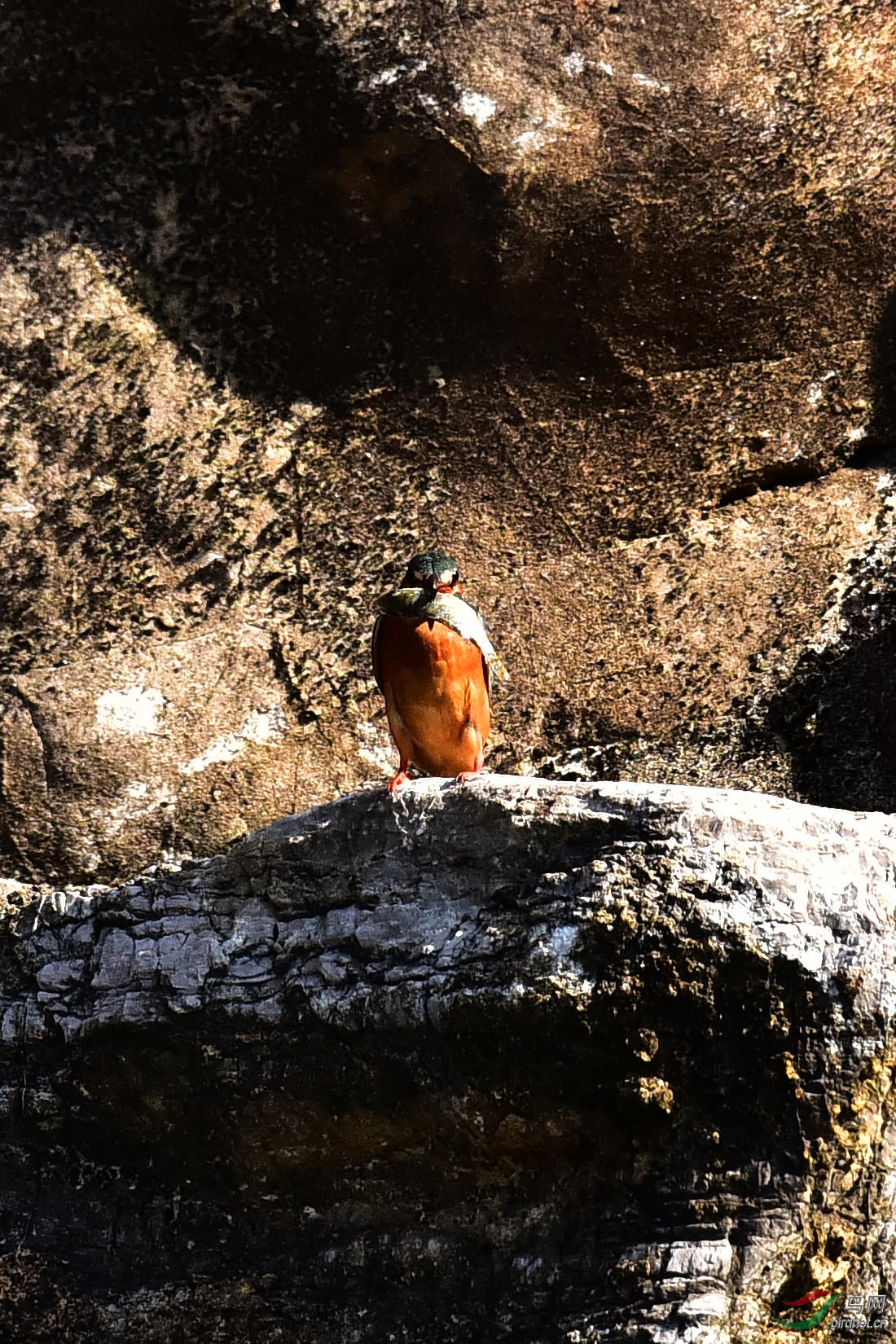 DSC_1118.JPG