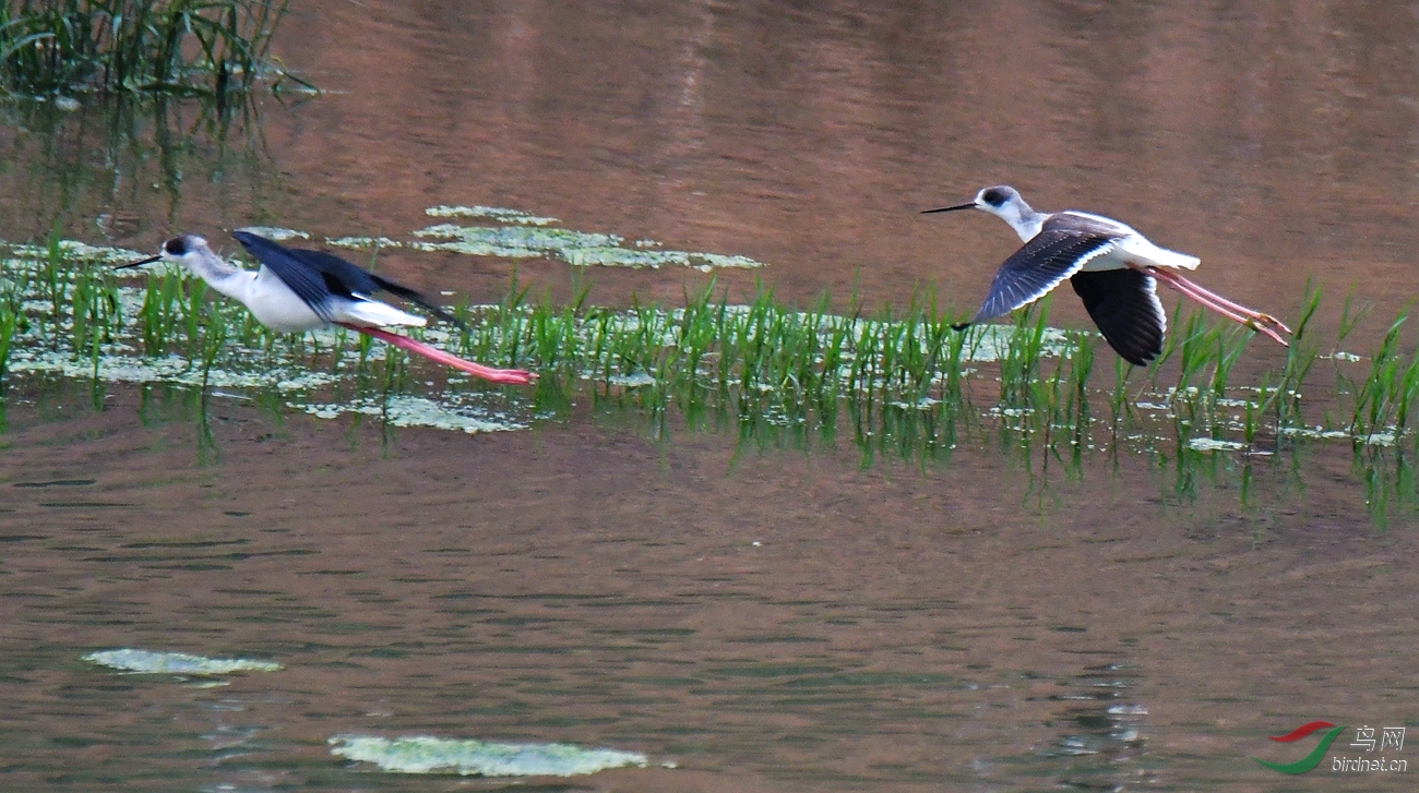 DSC_8799.JPG