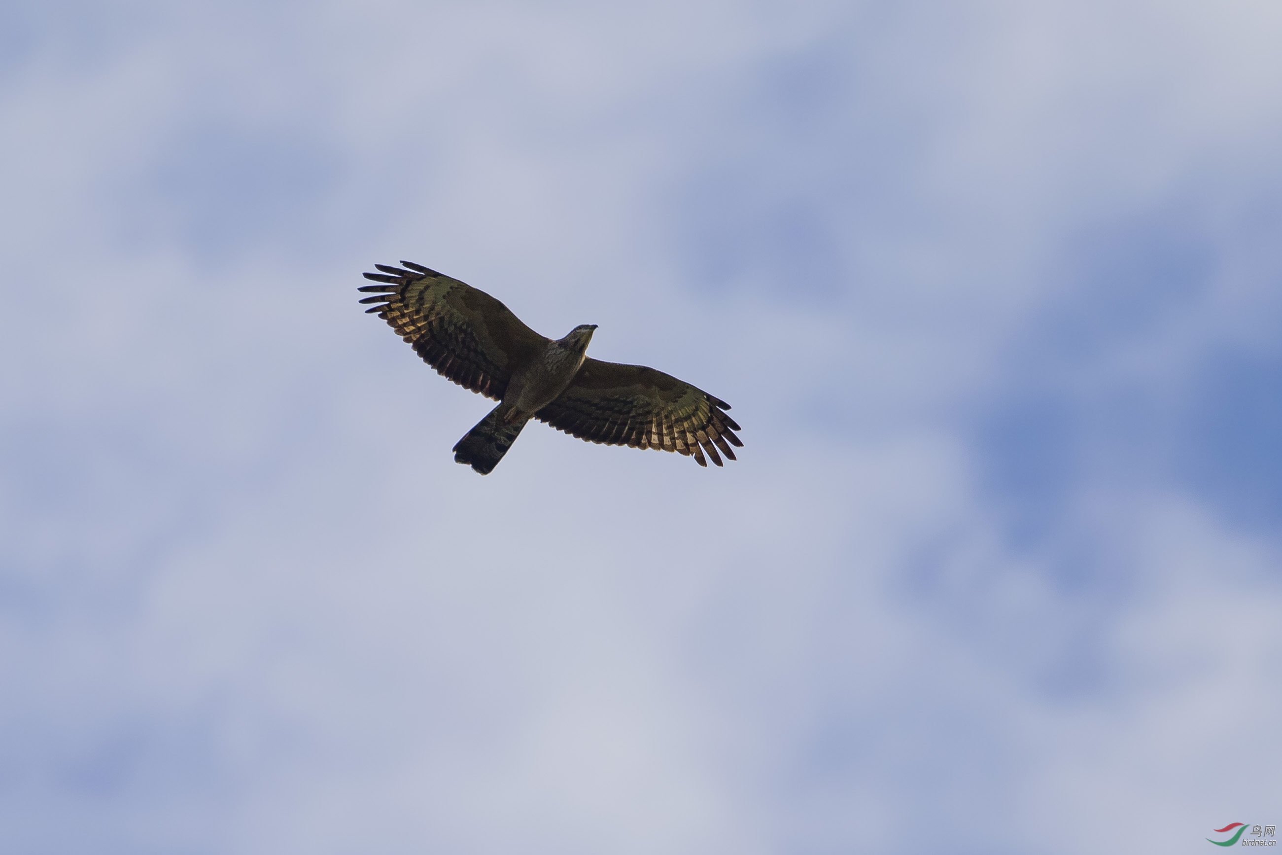 B07U8176.jpg