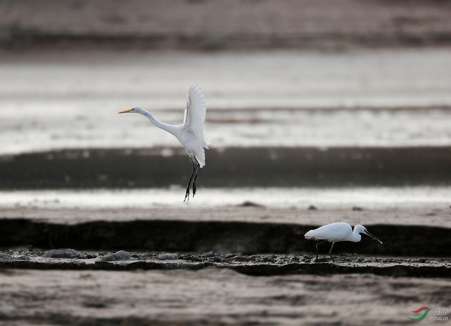 7M7A6962 ����.jpg