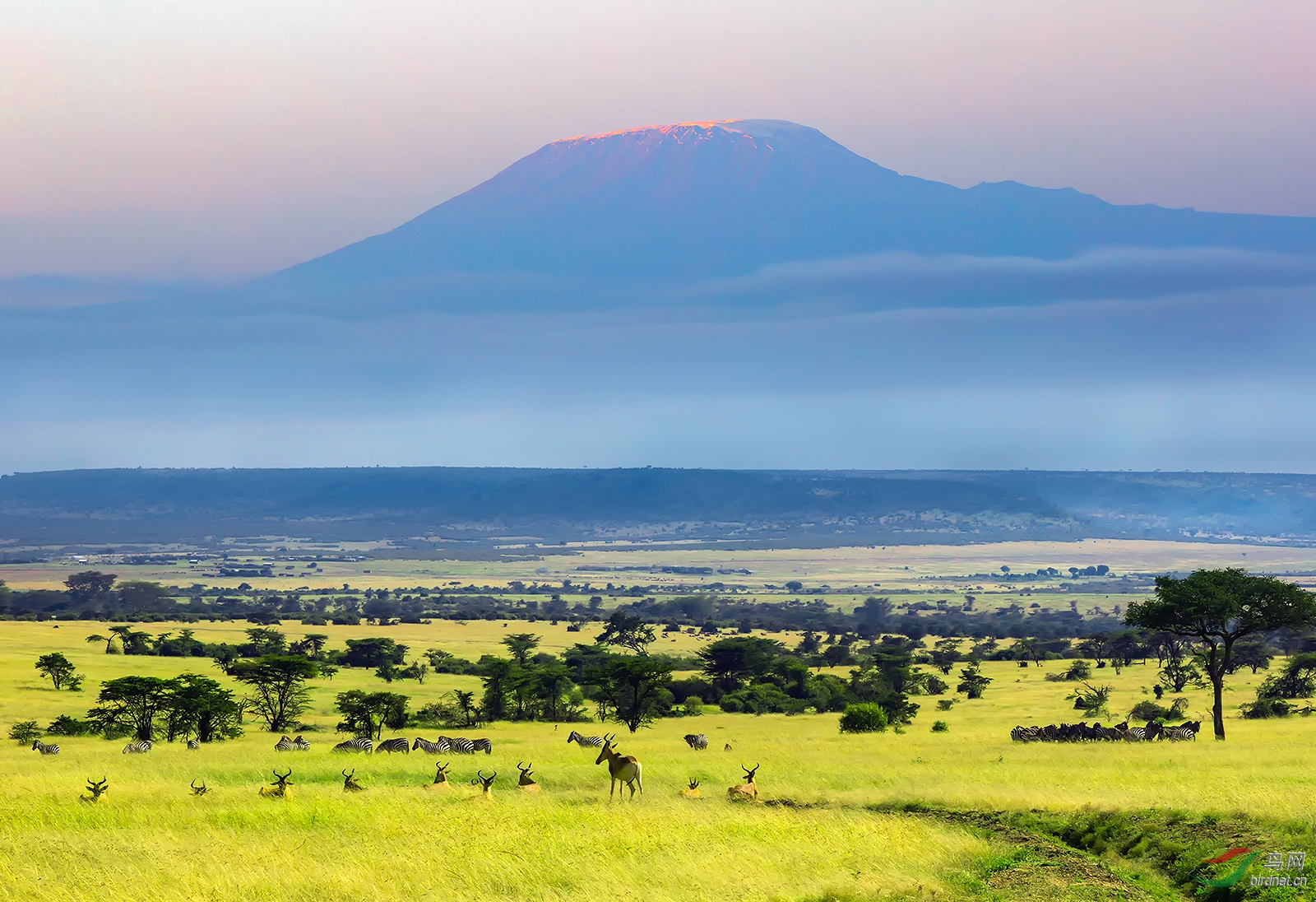 [风光] 非洲初探--难忘的乞力马扎罗山