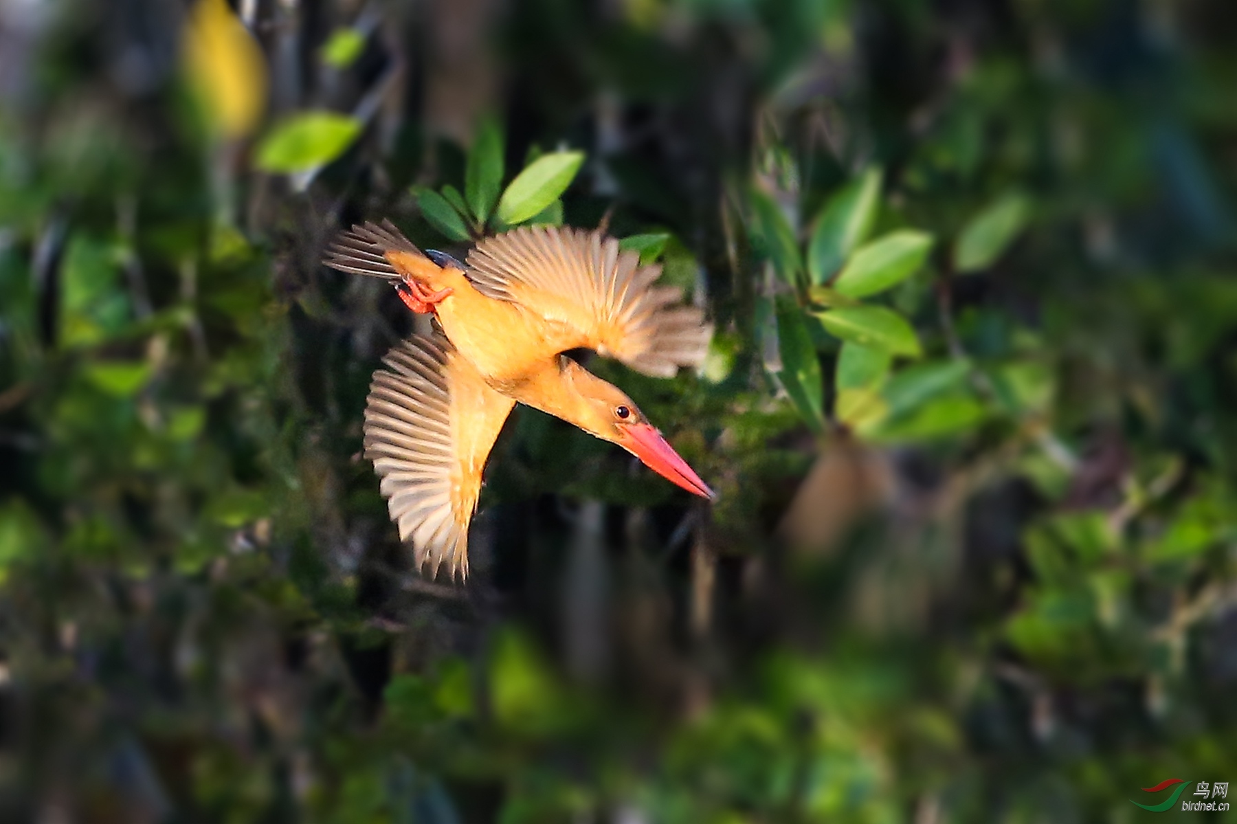 916A0542    �������Ϭ��.01_����.jpg