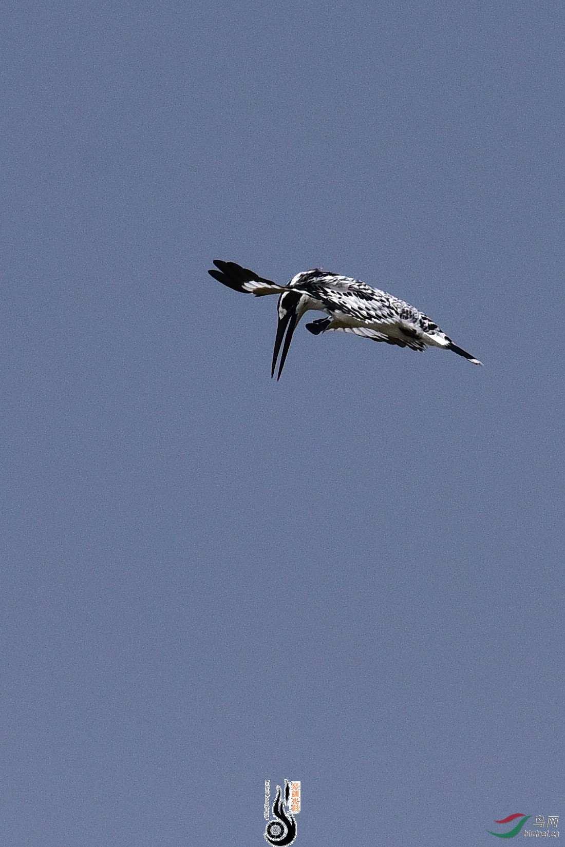 DSC_1139.JPG
