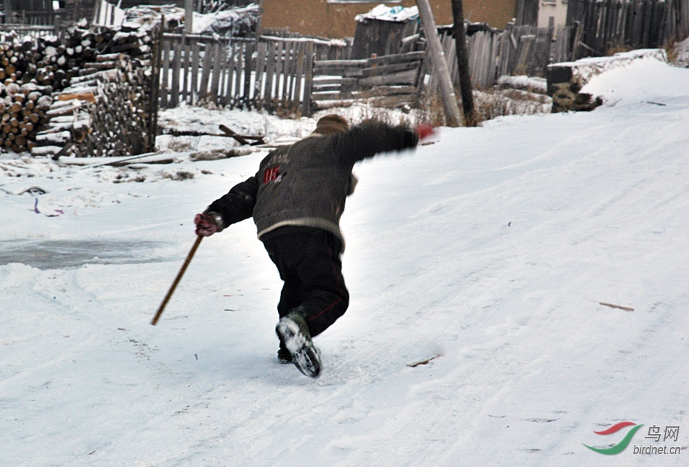DSC_0057.jpg