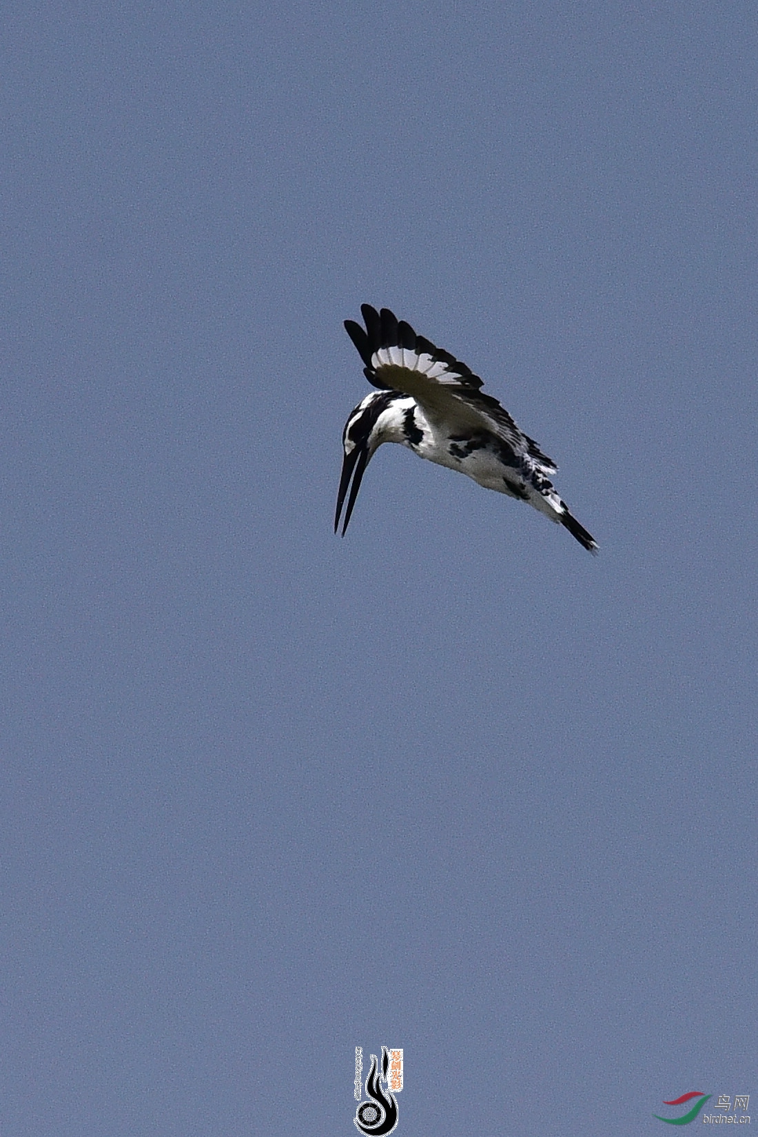 DSC_1143.JPG