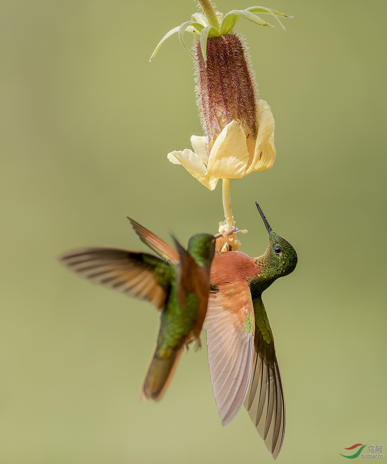 File9440����.jpg