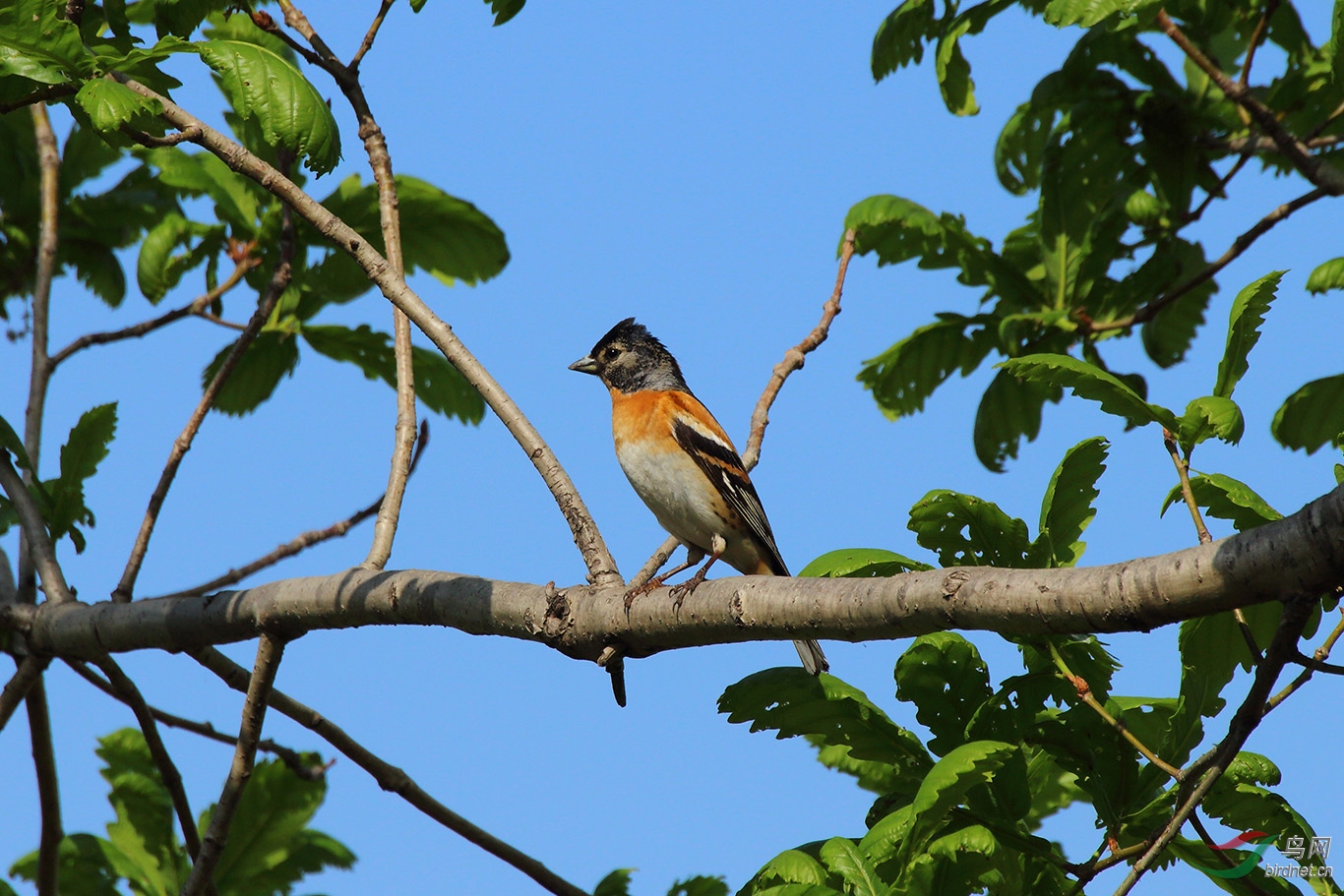 IMG_9684.jpg
