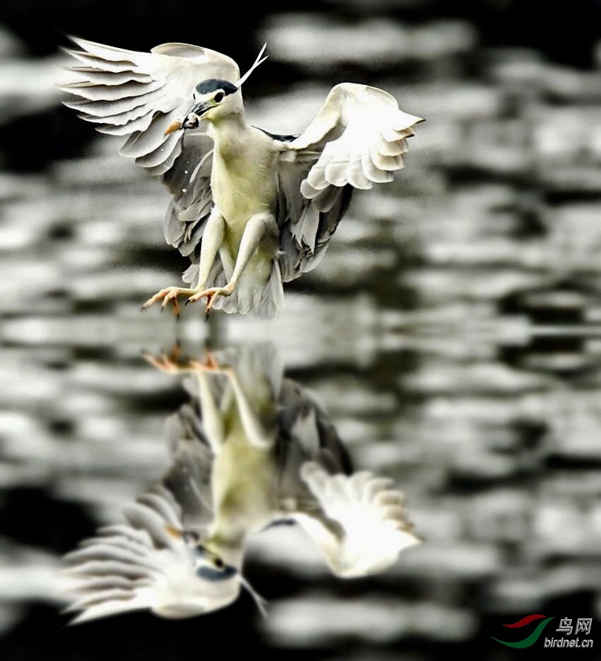 3B75556D-993B-40BF-BDC0-CDD2B472227C.jpeg