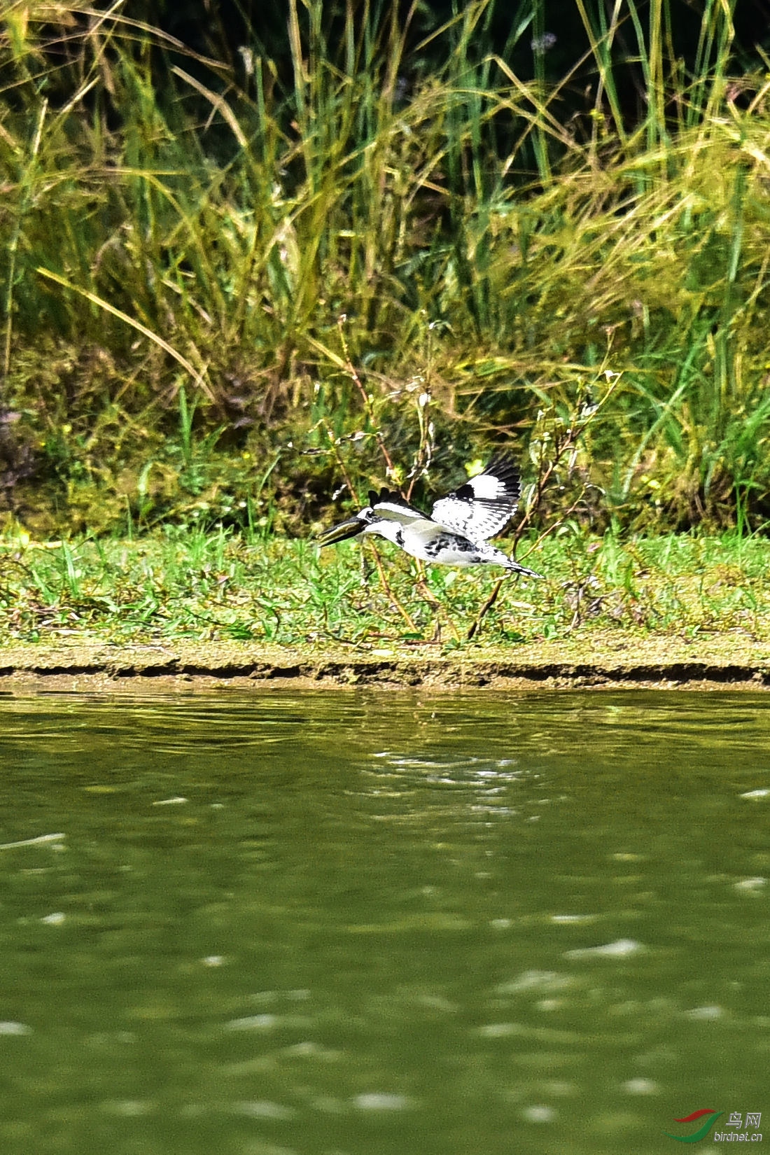 DSC_1173.JPG