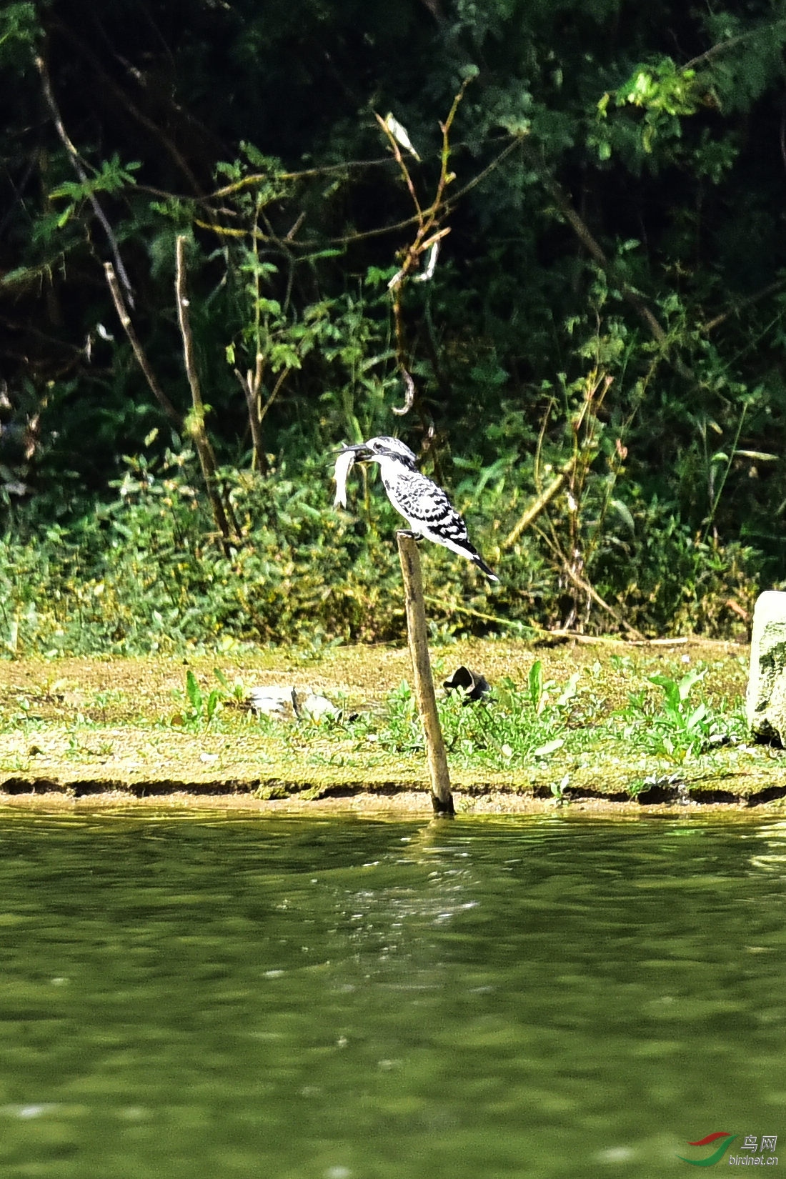 DSC_1180.JPG