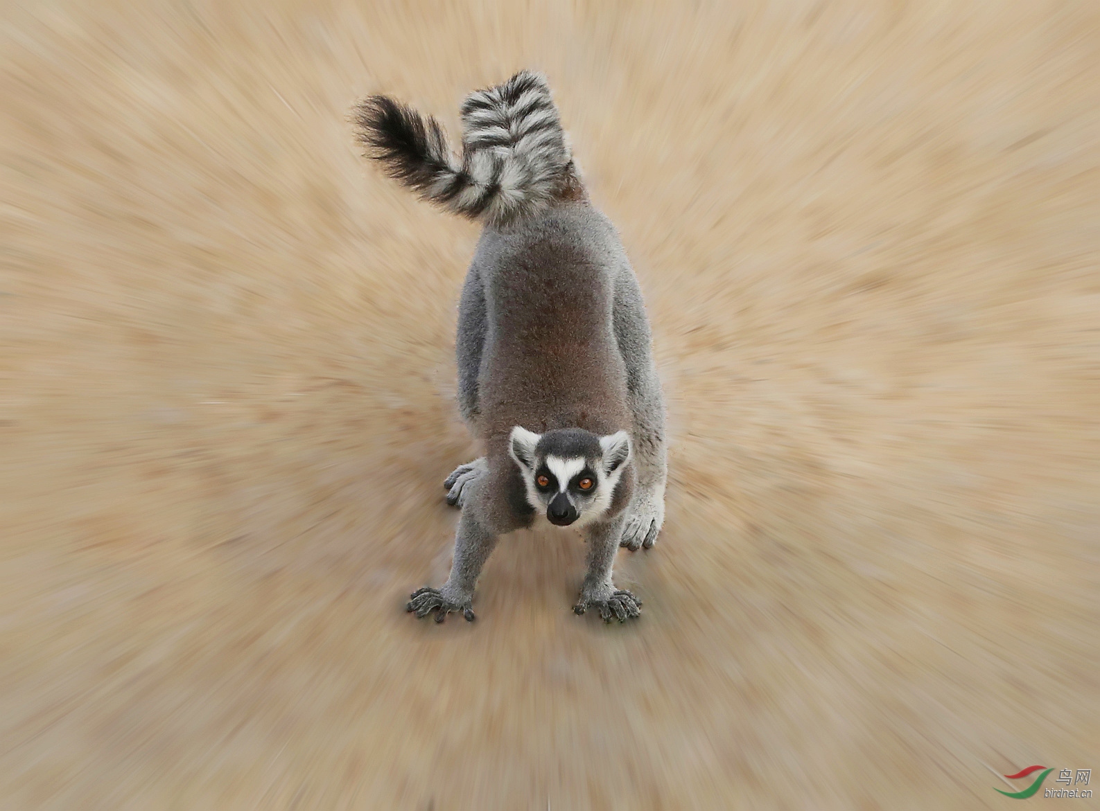 7M7A2711 ����.jpg