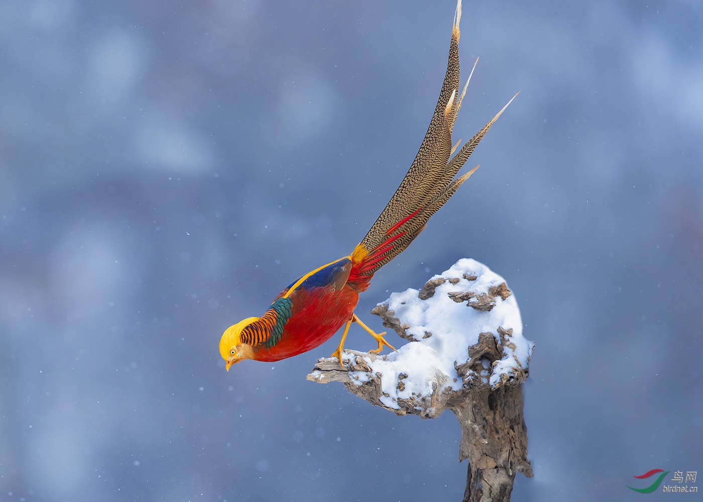 NL__0692-1.jpg
