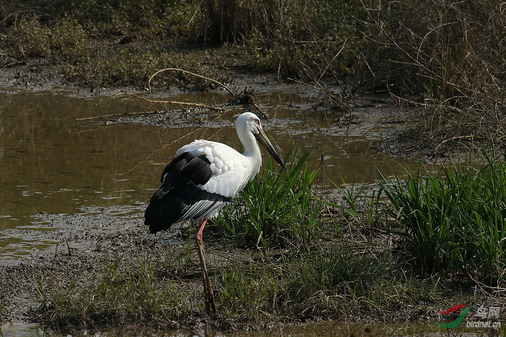 367A4350_����.jpg