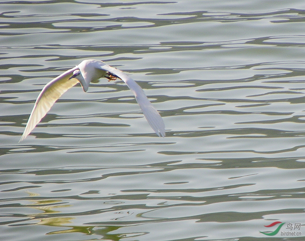 ���غ�С 014_����.jpg