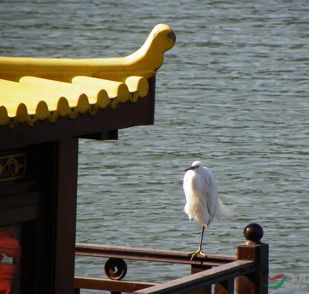 ���غ�С 028_����.jpg