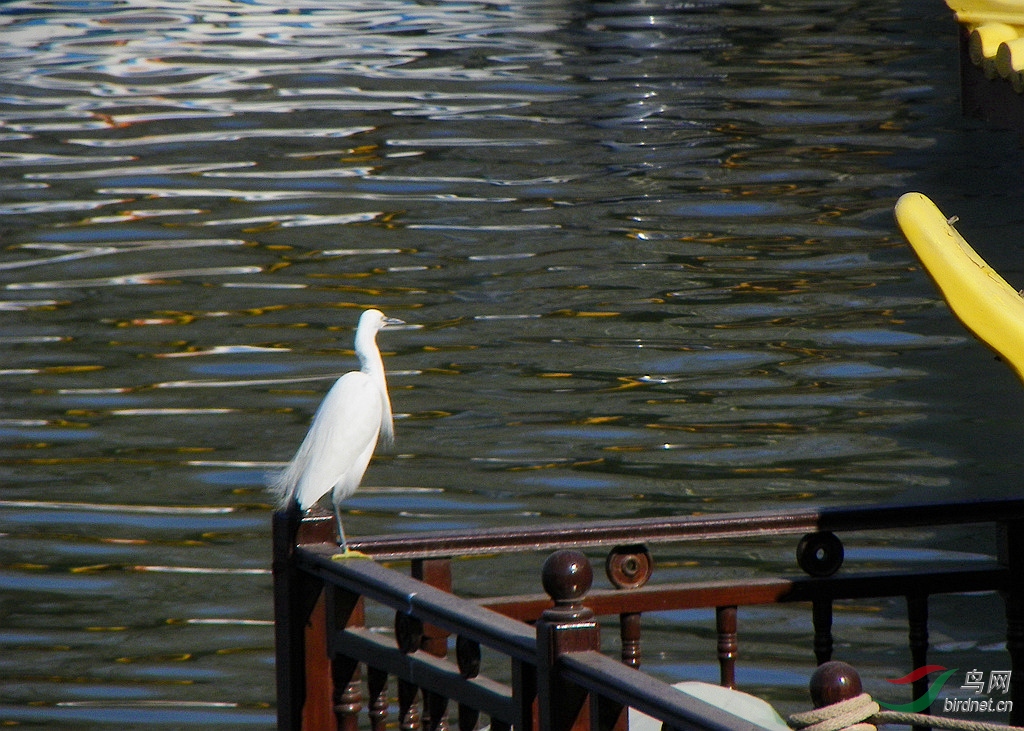 ���غ�С 040_����.jpg