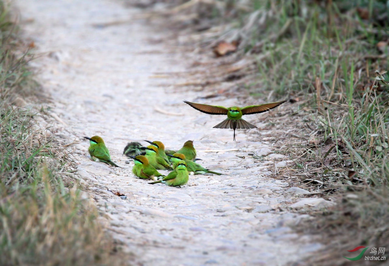 ���� (52)-1.jpg