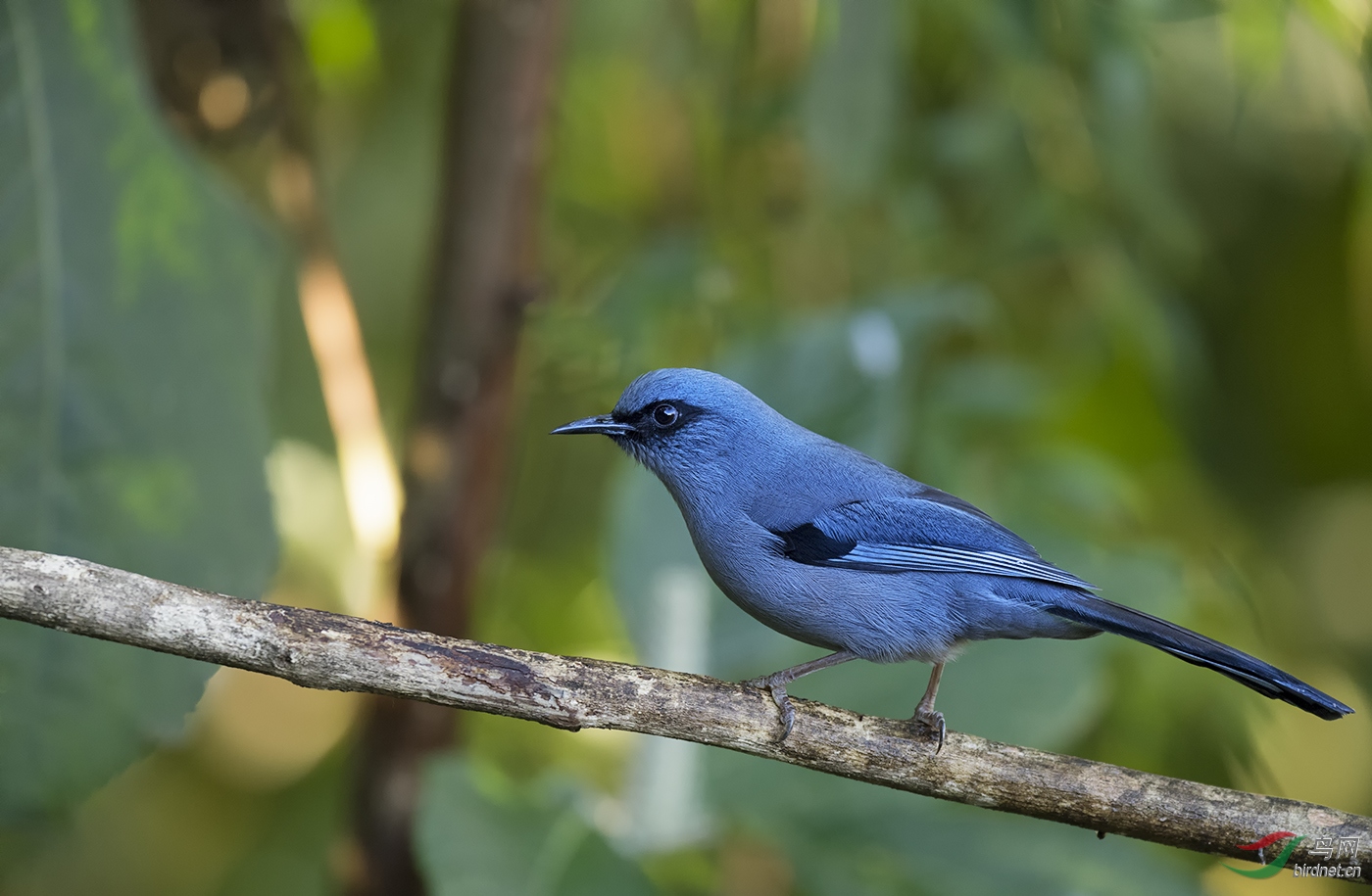 DSC_0861.jpg