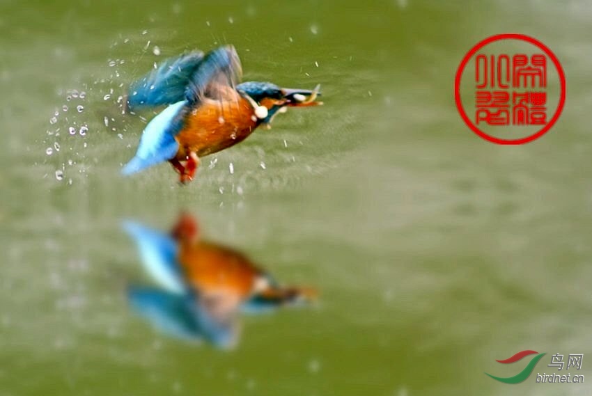 99861D93-DB0C-4342-9BEE-16AC104F64A2.jpeg