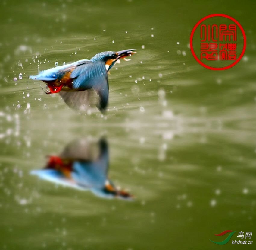 D1608E3E-F219-4440-871C-4D8A33FF4BE6.jpeg