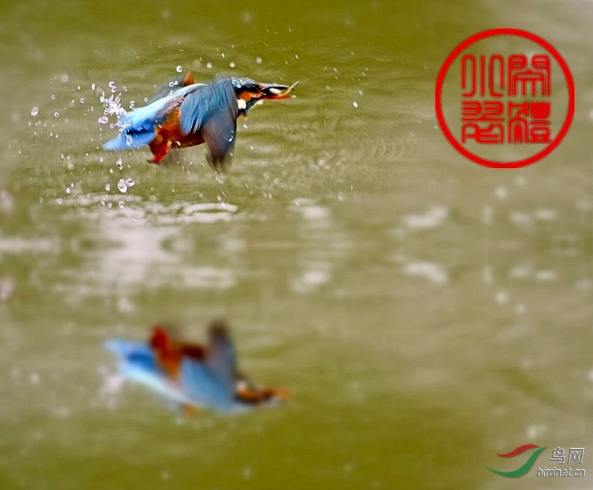 AF452361-4658-42A4-B68B-706EBA786595.jpeg