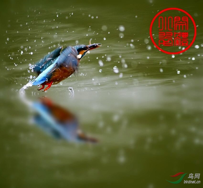862621B9-833F-4D26-9A2B-9487004A7457.jpeg