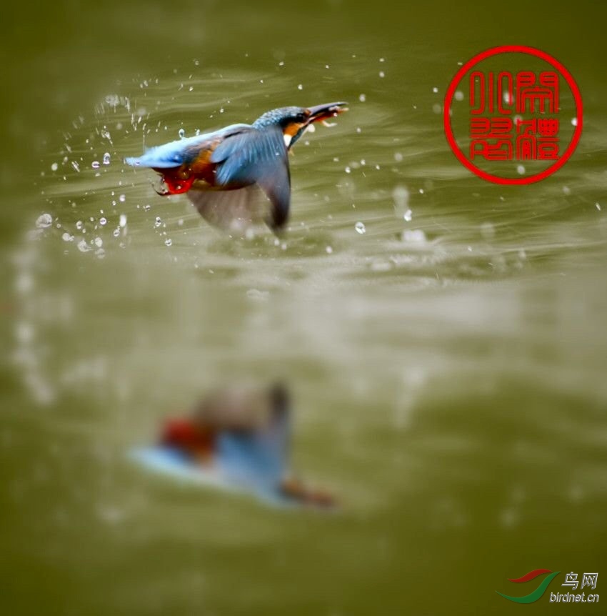 0147C36D-8134-4520-B567-B5DDD0875C67.jpeg