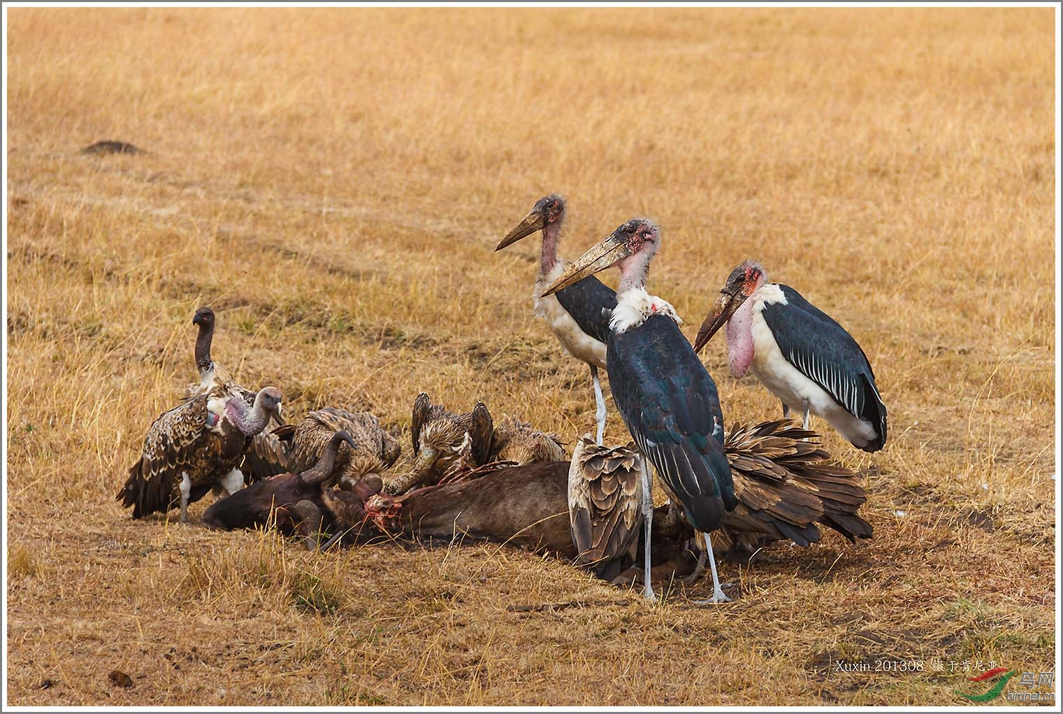 ��_MG_6022��Ϊ���ܶ���-1 1500.jpg