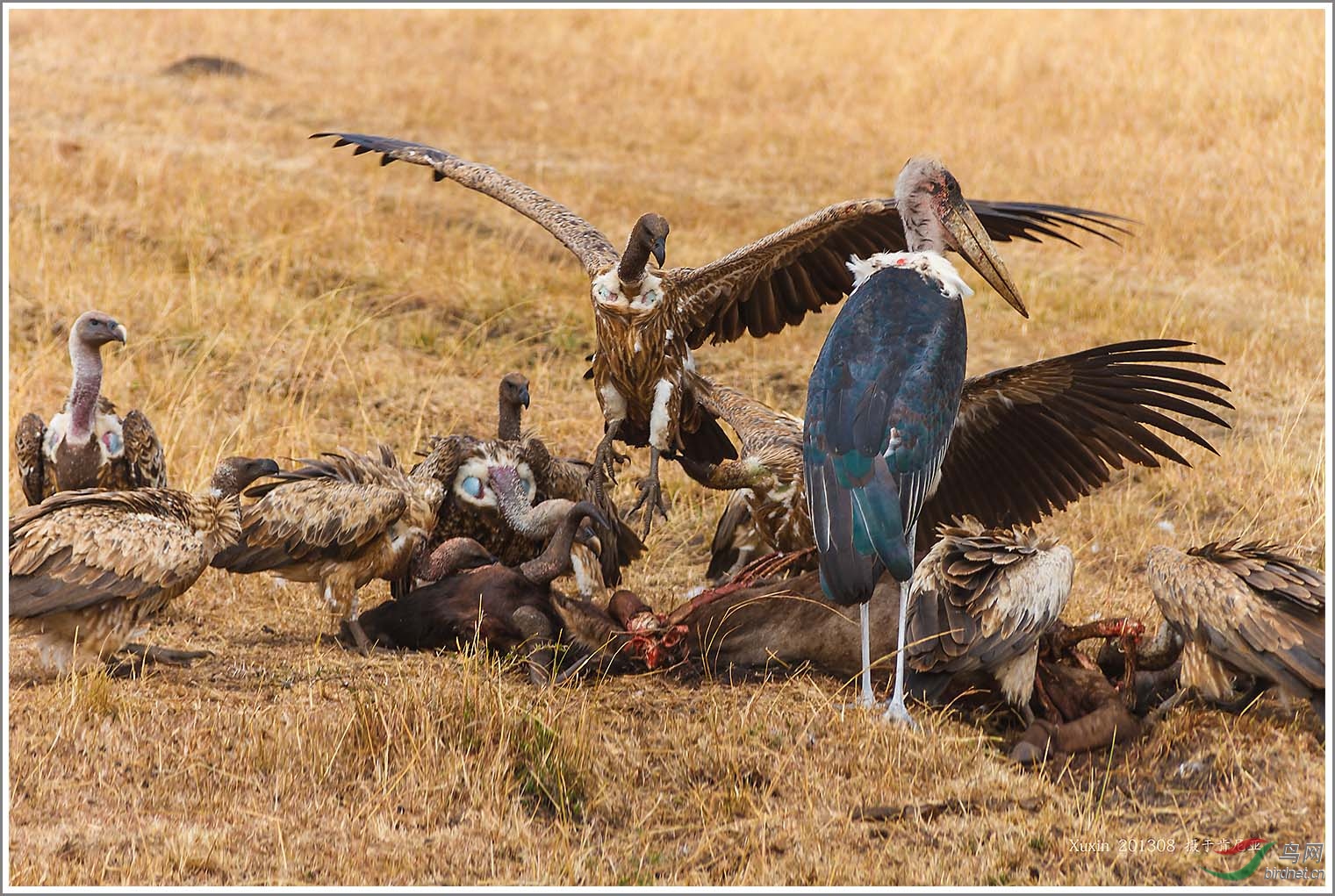 ��_MG_6038��Ϊ���ܶ���-1 1500.jpg