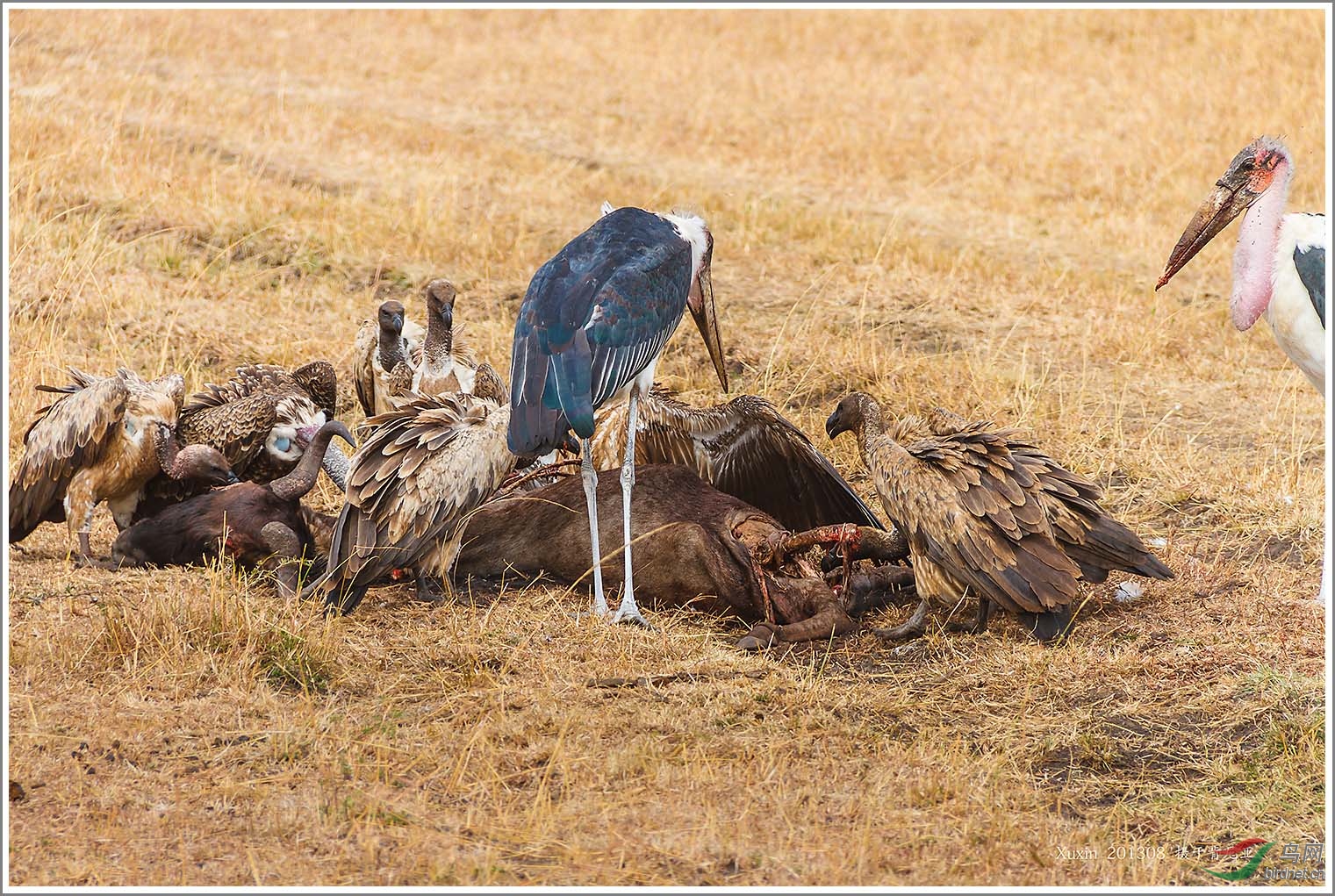 ��_MG_6033��Ϊ���ܶ���-1 1500.jpg