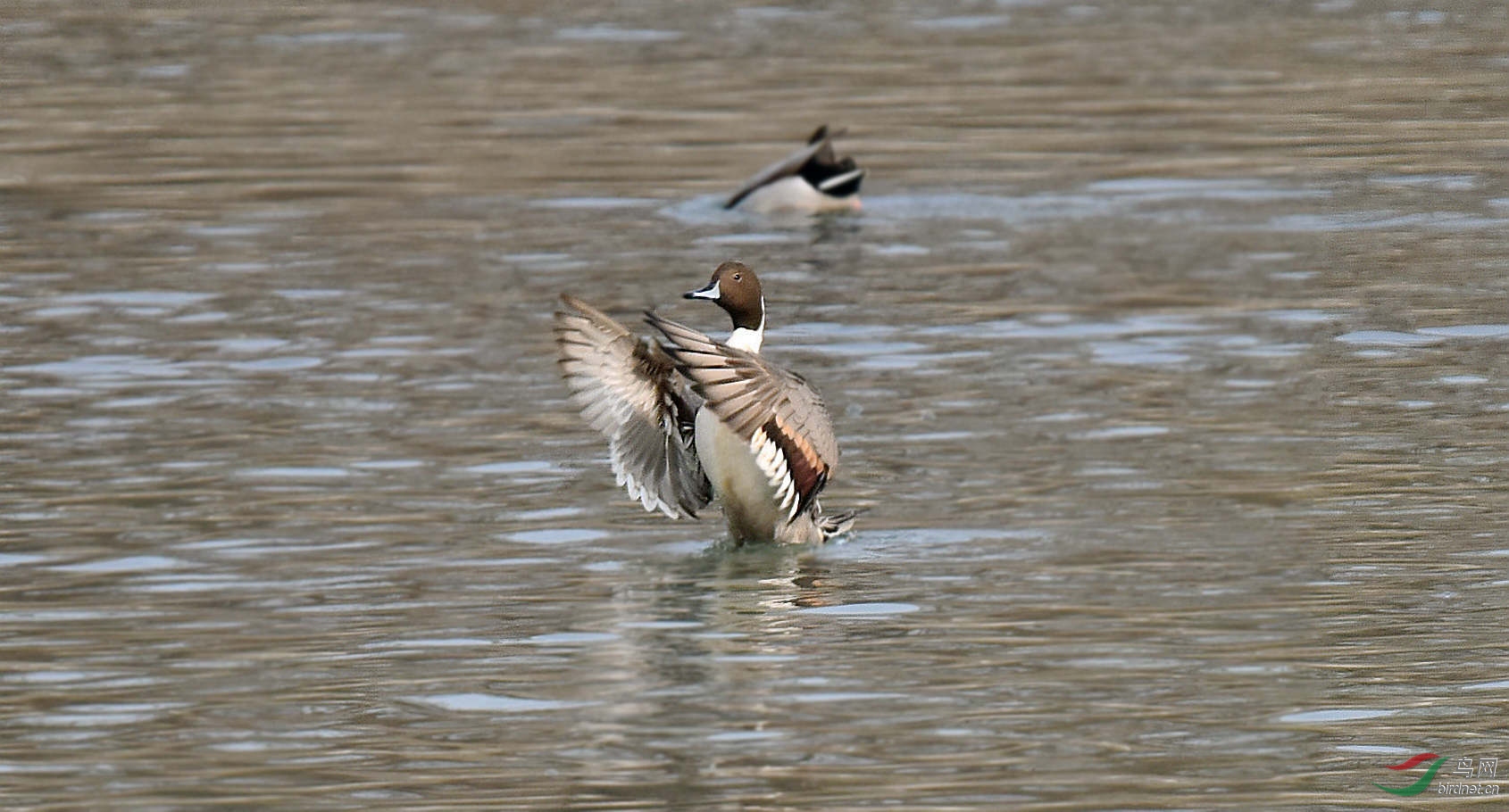 DSC_6405.jpg