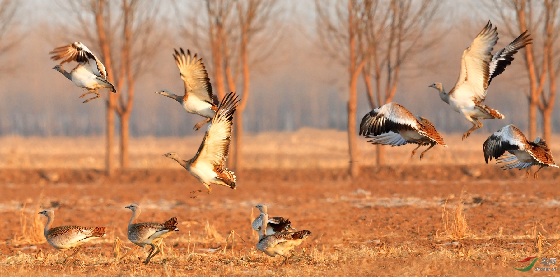 IYK_0897_���� ���� 2_����.jpg