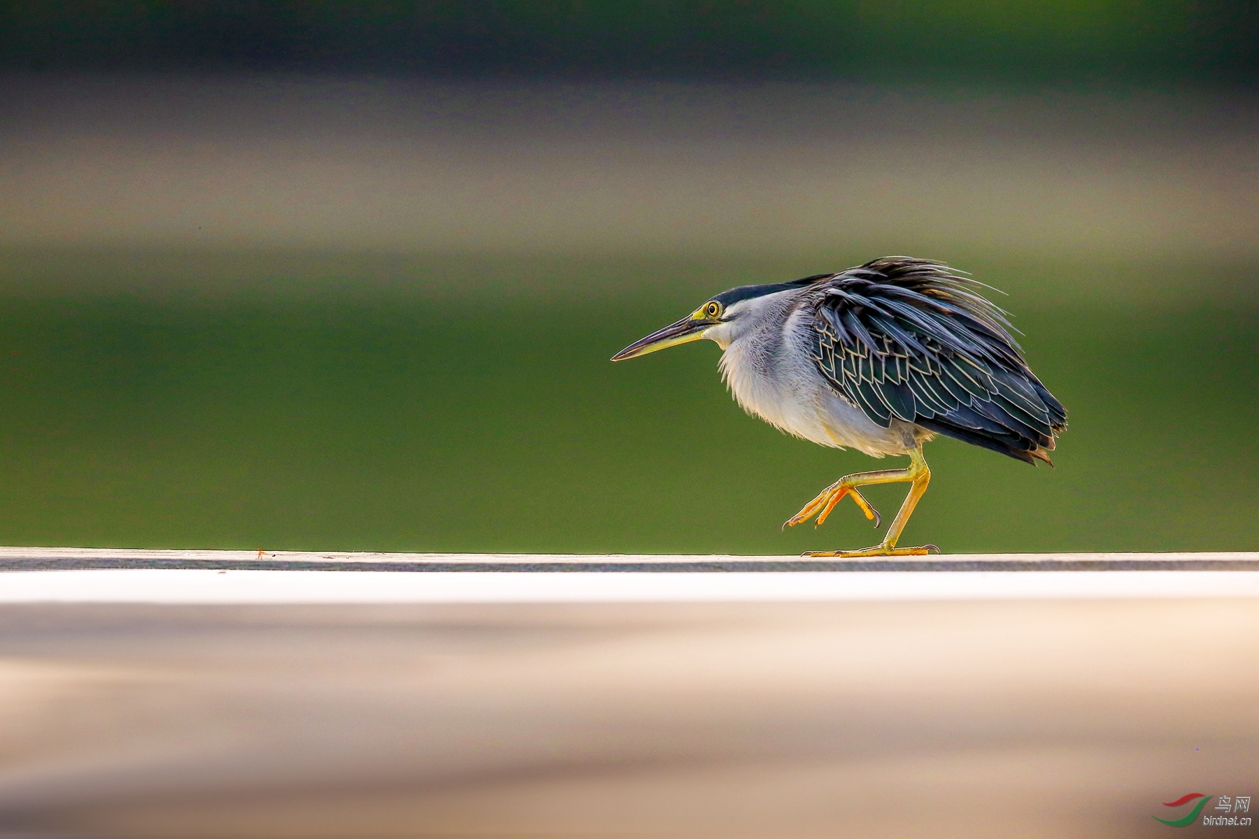 916A0990   ��T̨������_����.jpg