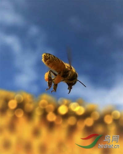 7f10c4d8fe5f6476fe814b0a01bd0d63.jpg