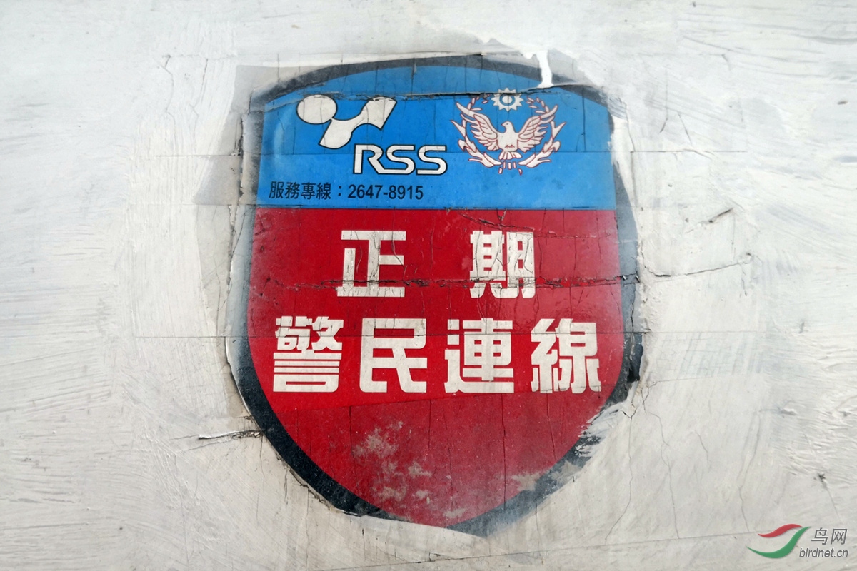 1812sjsp85.jpg