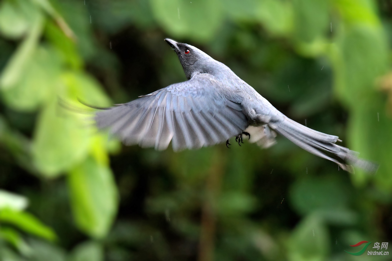 ��Ƭ 1964-����.jpg