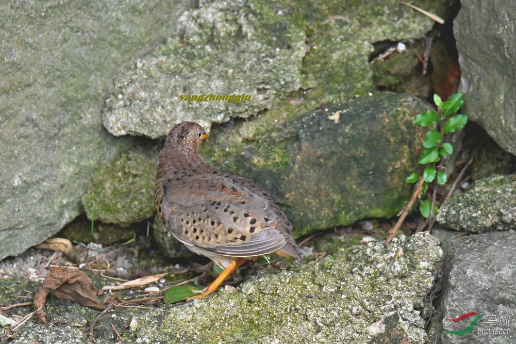 2018年青岛雕塑园来的"好东西"之一