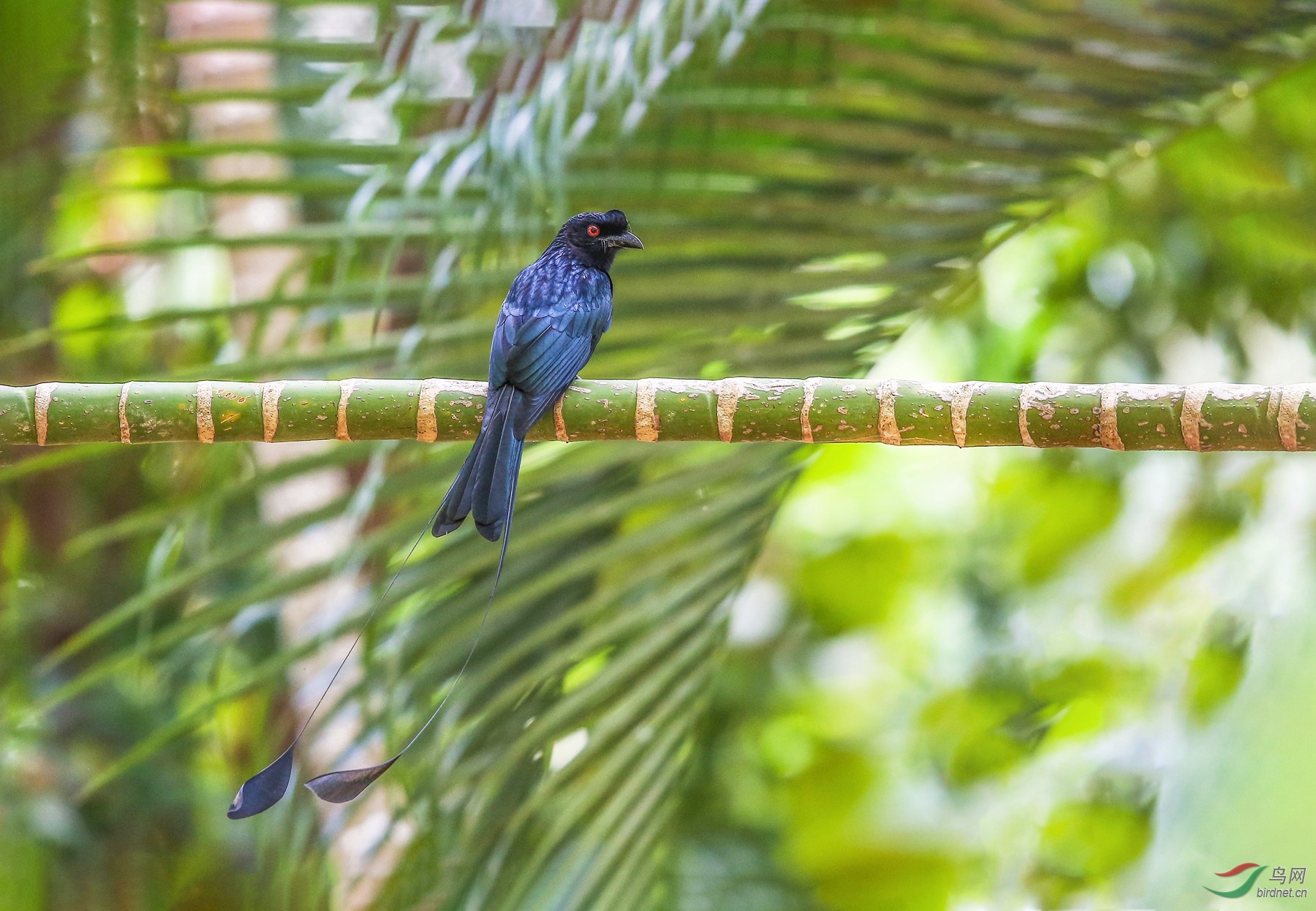 916A4085  ������������̨Ч����������������β 01_����.jpg