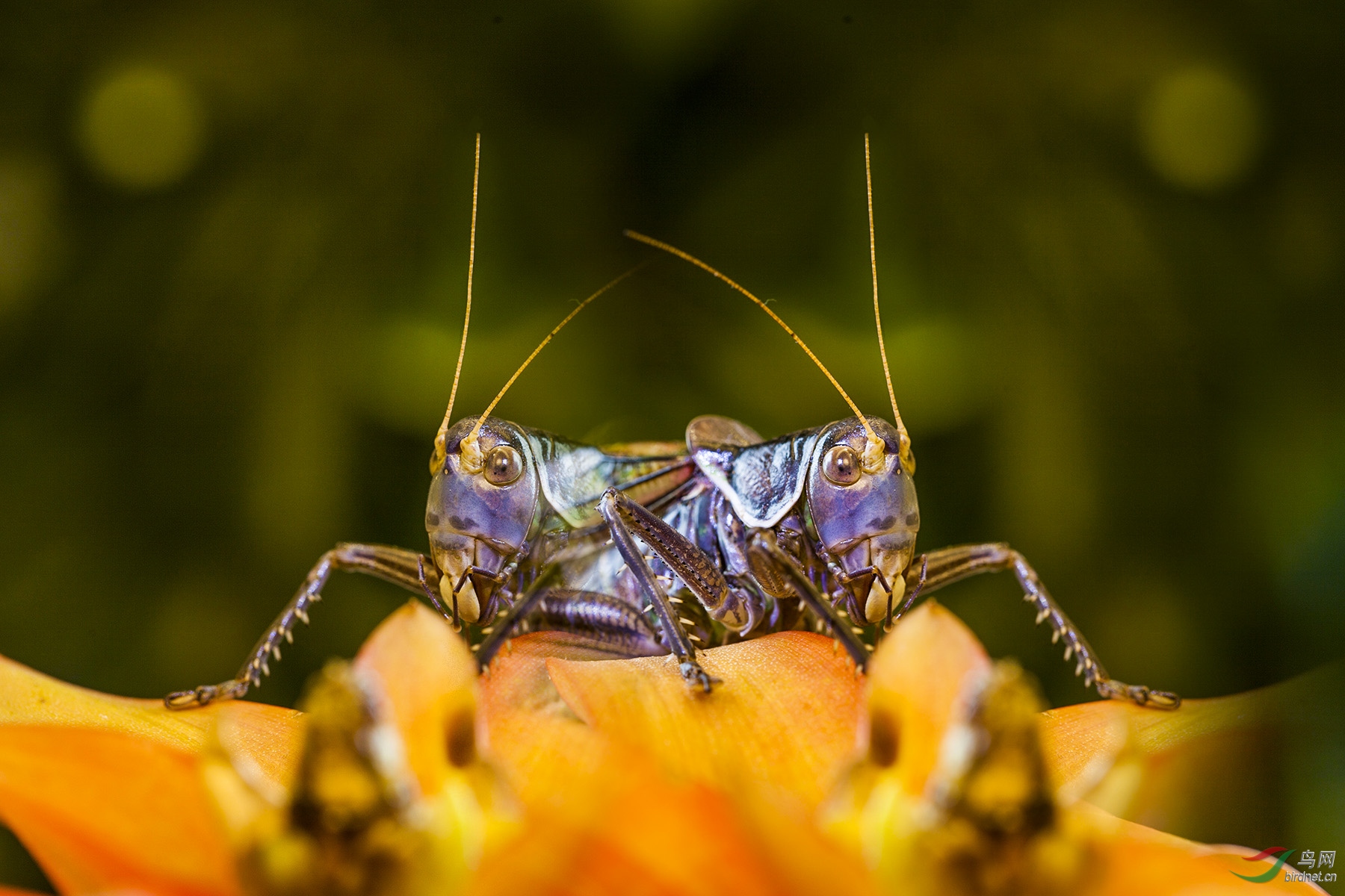 �����塷����-2019��1��13����