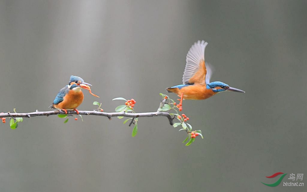DSC_1674_����.jpg