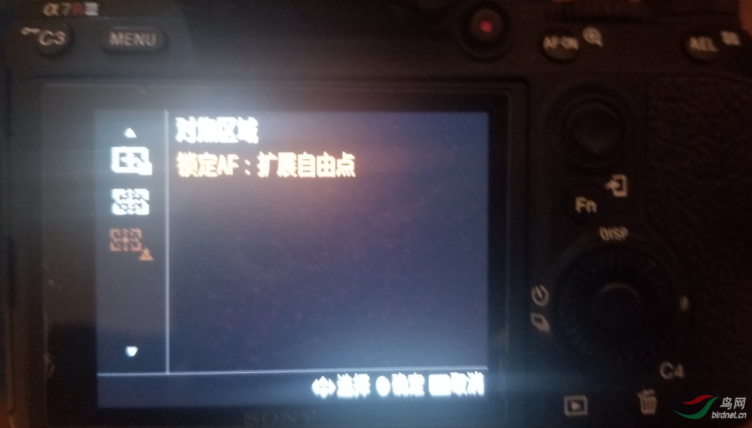 9514815_1547627343328.jpg