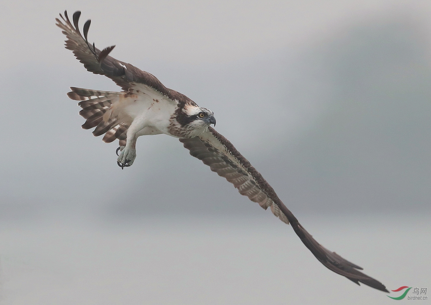 AI0I8954 - ����.JPG