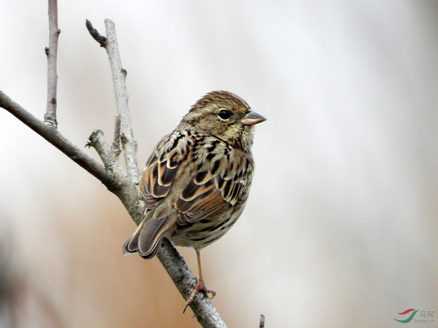 DSCN7428 ����.jpg