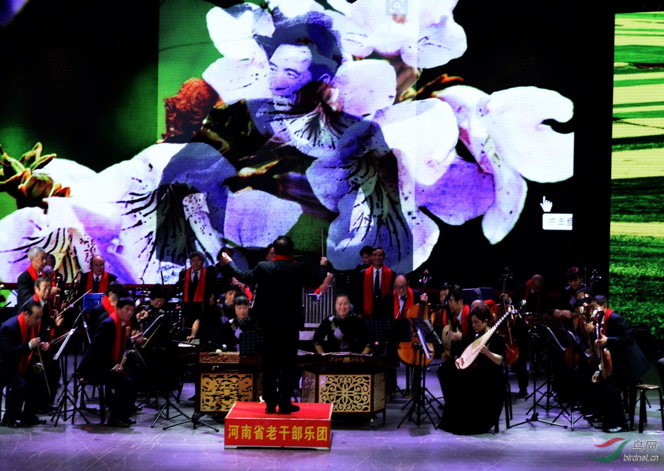 ���� _1080499.jpg