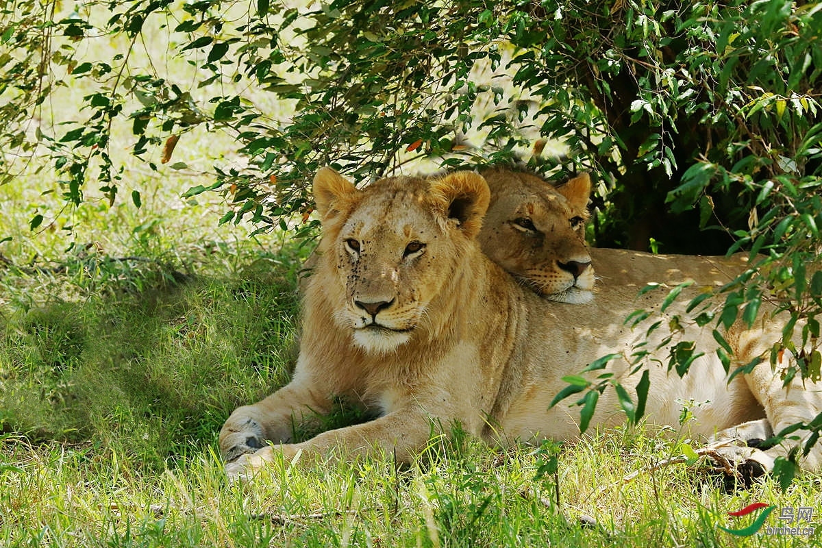 203443gg3uxa51x2igisbx (1).jpg